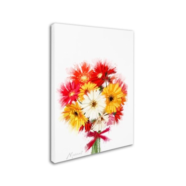 The Macneil Studio 'Gerberas' Canvas Art,18x24